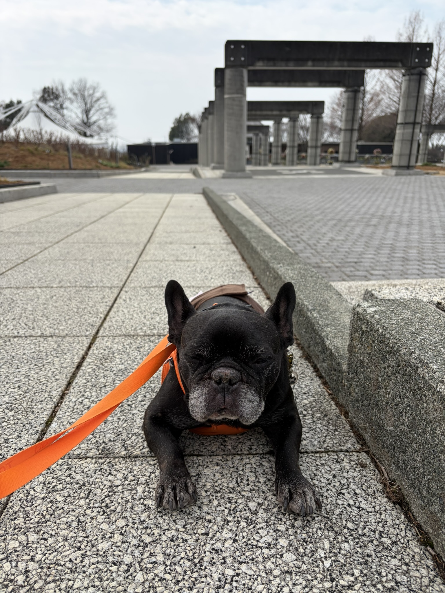 ぐんまフラワーパーク