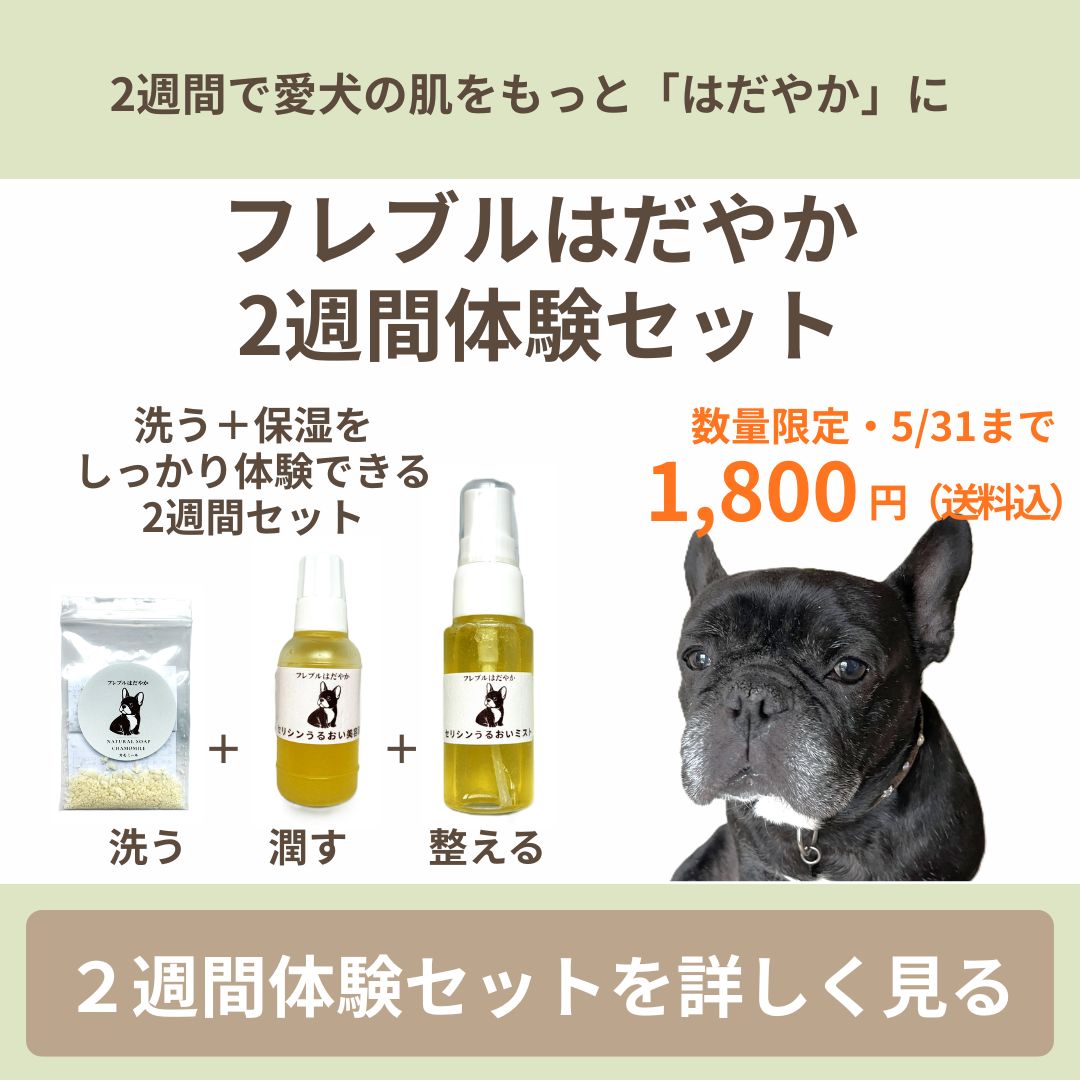 フレブルはだやか2週間体験セット