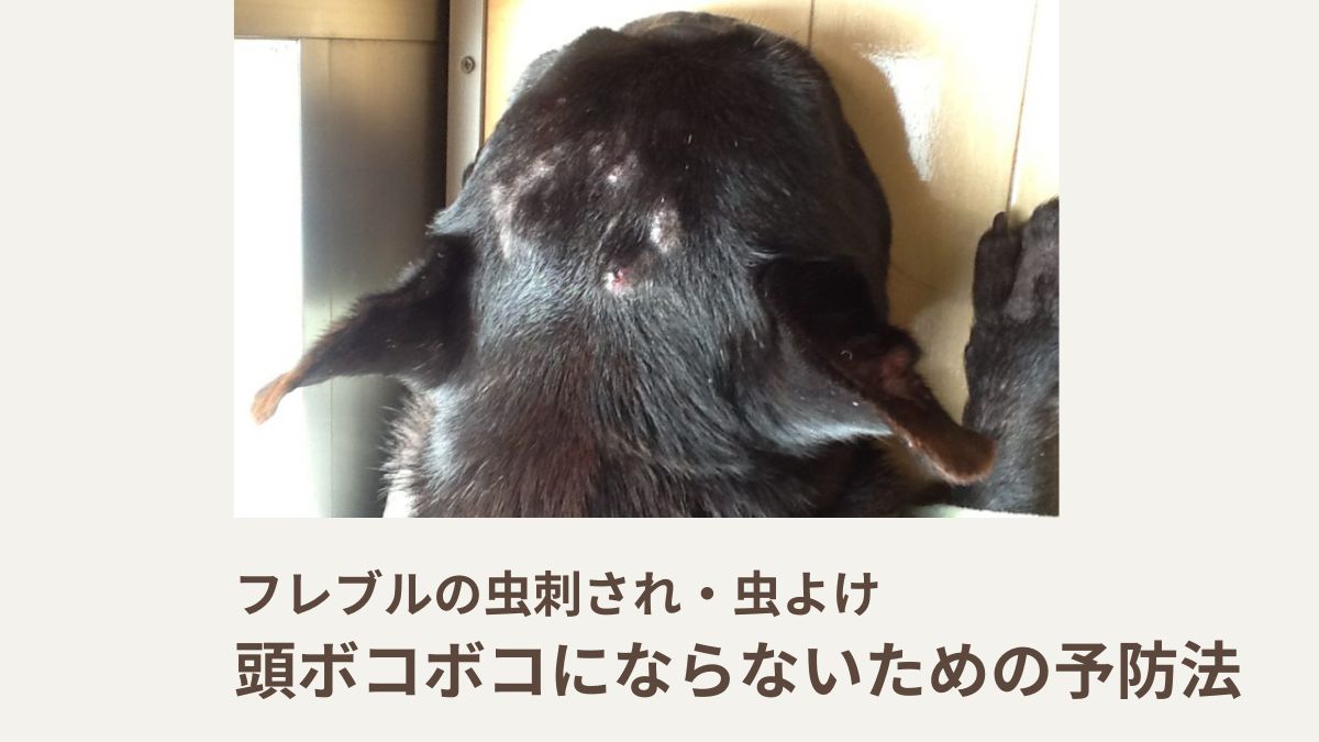 フレブルの虫刺され・虫よけ｜頭ボコボコにならないための予防法