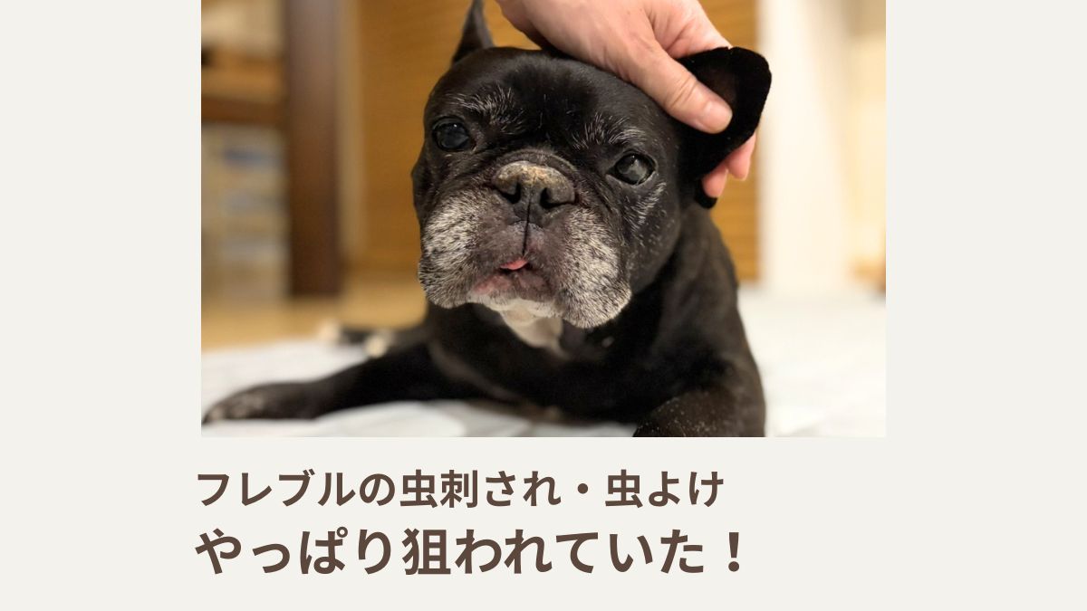 フレブルの虫刺され・虫よけ｜やっぱりネタわれていた！