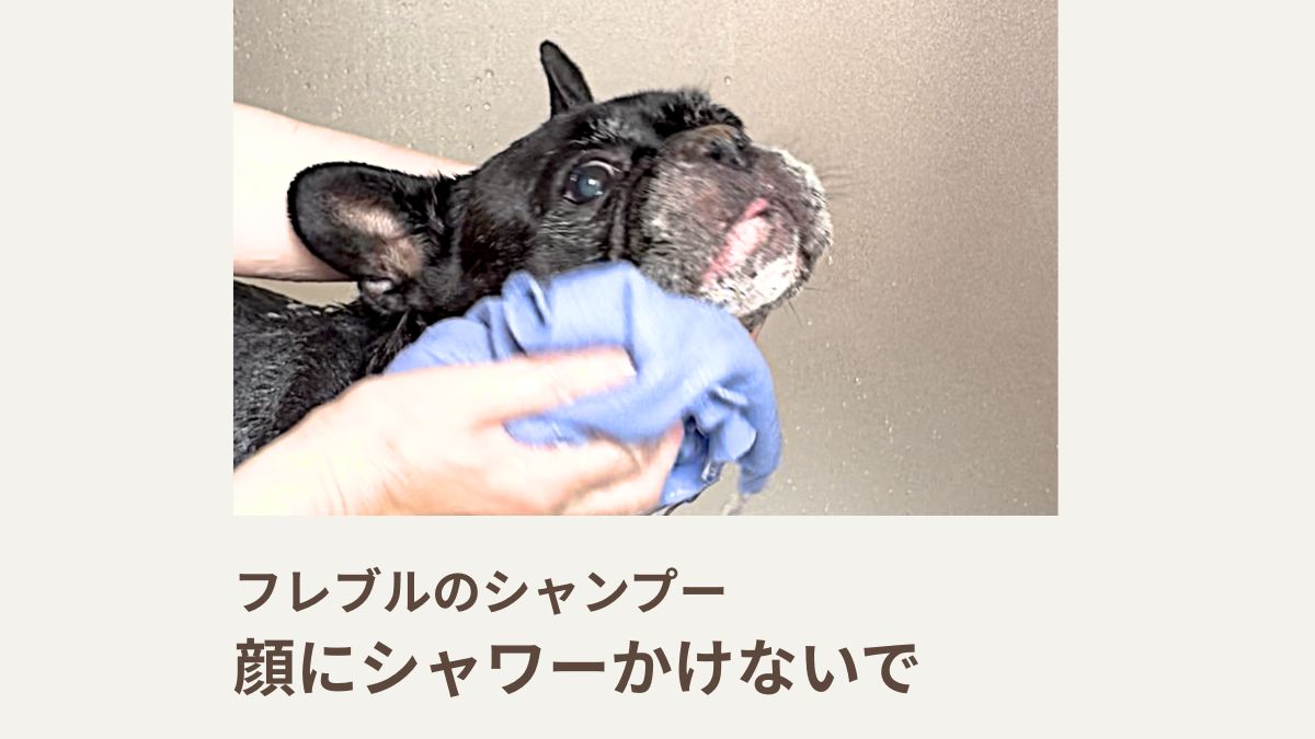 フレブルのシャンプー｜顔にシャワーかけないで