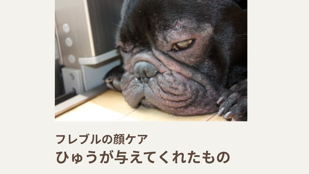 フレブルの顔ケア｜ひゅうが与えてくれたもの