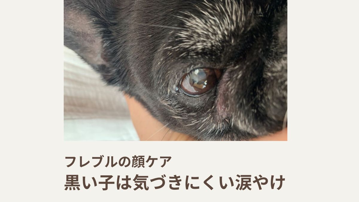 フレブルの顔ケア｜黒い子は気づきにくい涙やけ