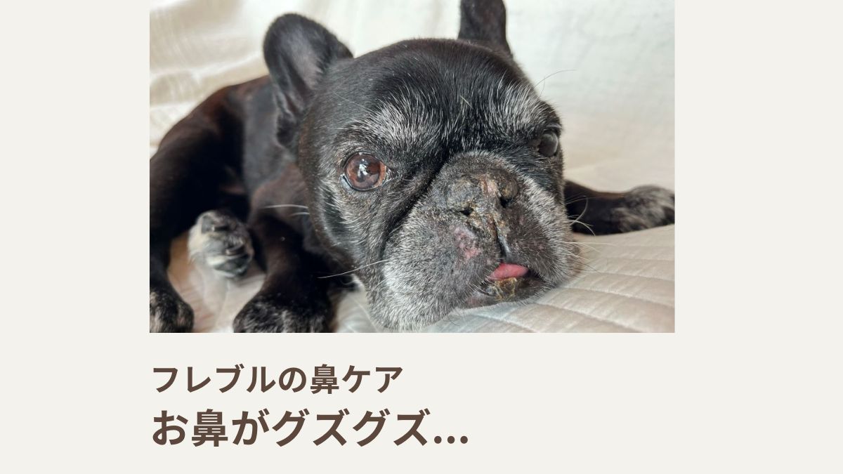 フレブルの鼻ケア｜お鼻がグズグズ