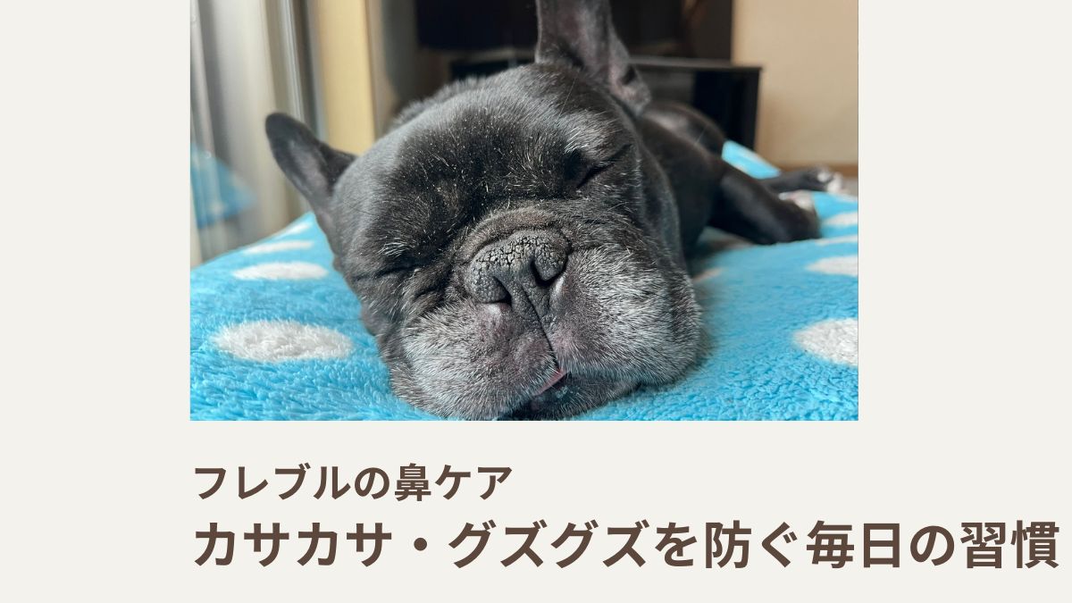 フレブルの鼻ケア｜カサカサ・グズグズを防ぐ毎日の習慣