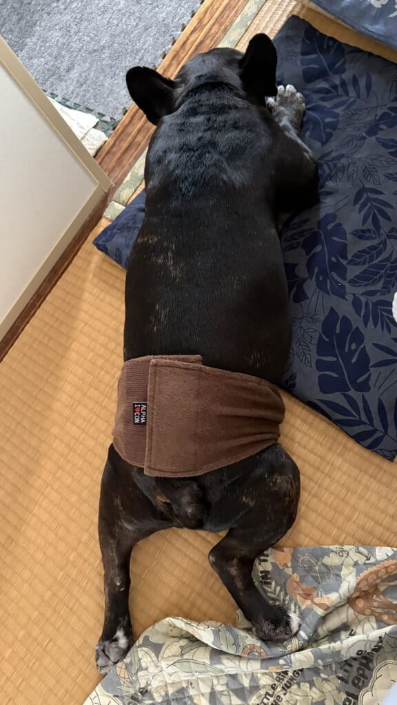 八朔