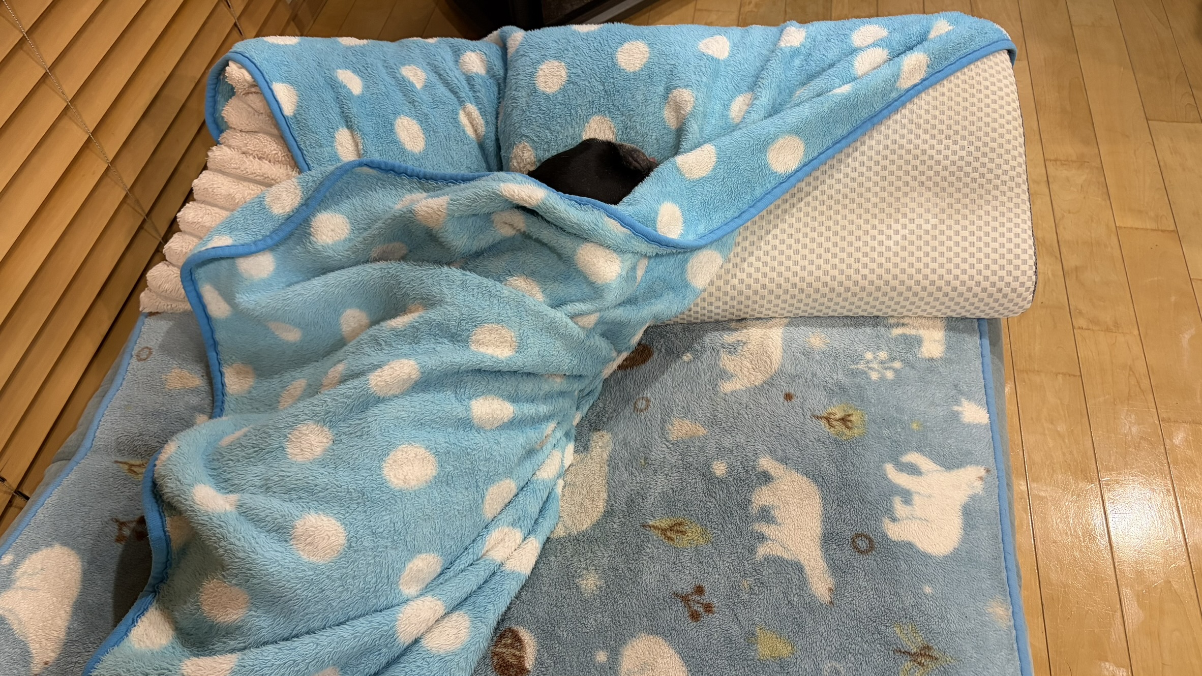八朔