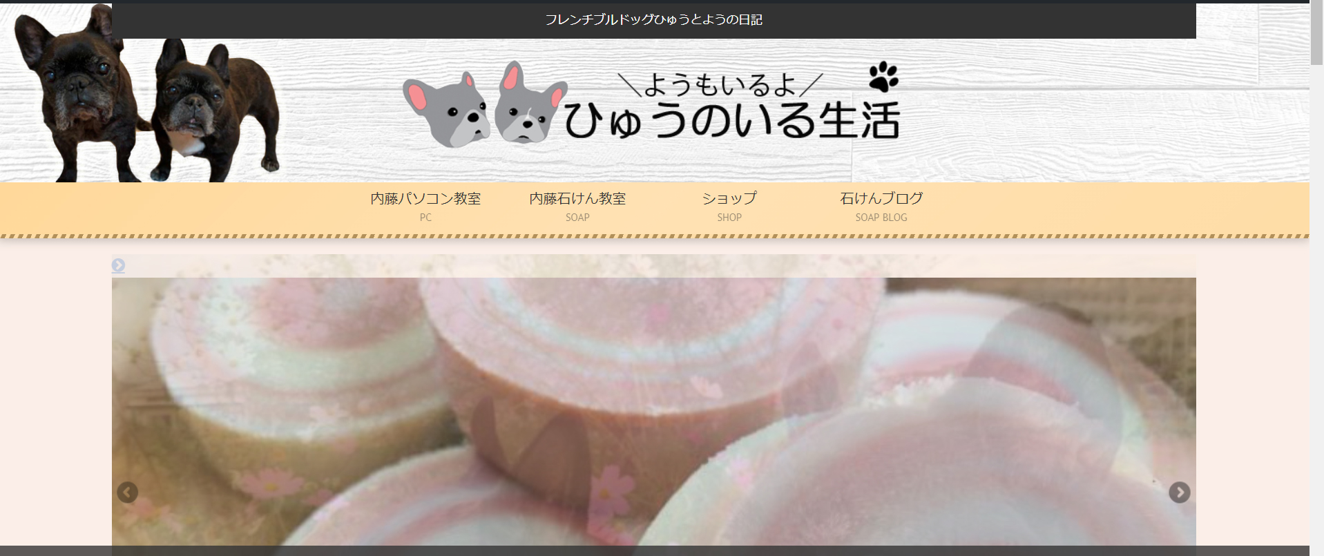 ひゅうのいる生活